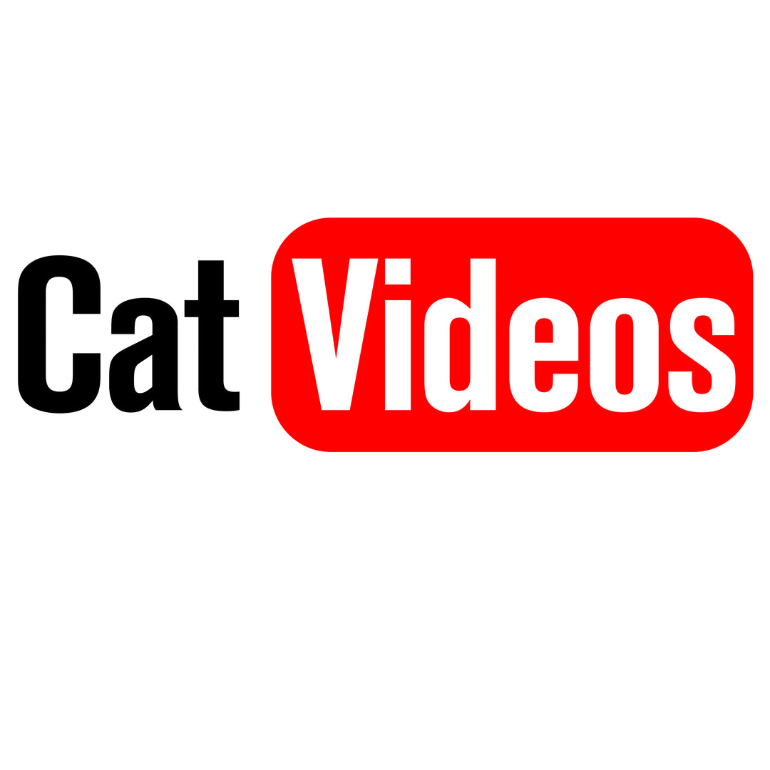 Cat Videos - Fem