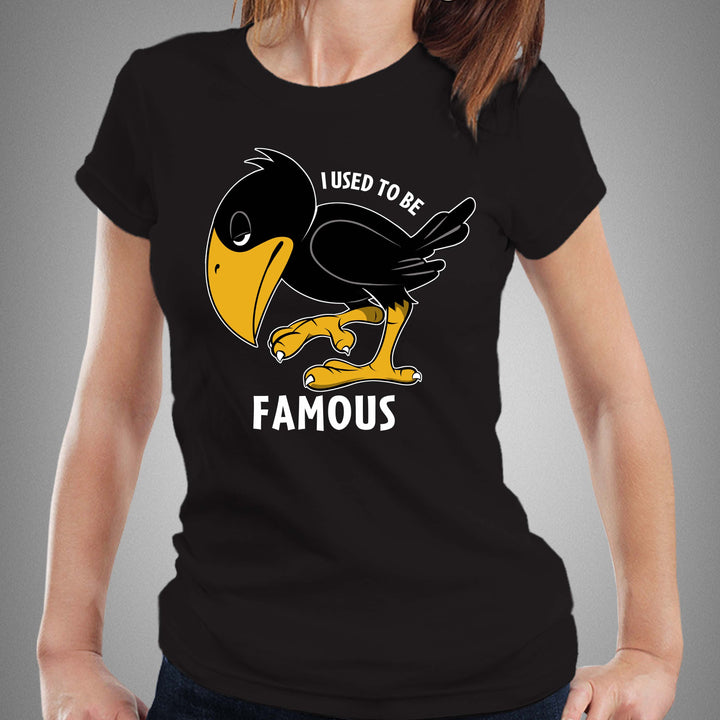 I USED TO BE FAMOUS - Fem