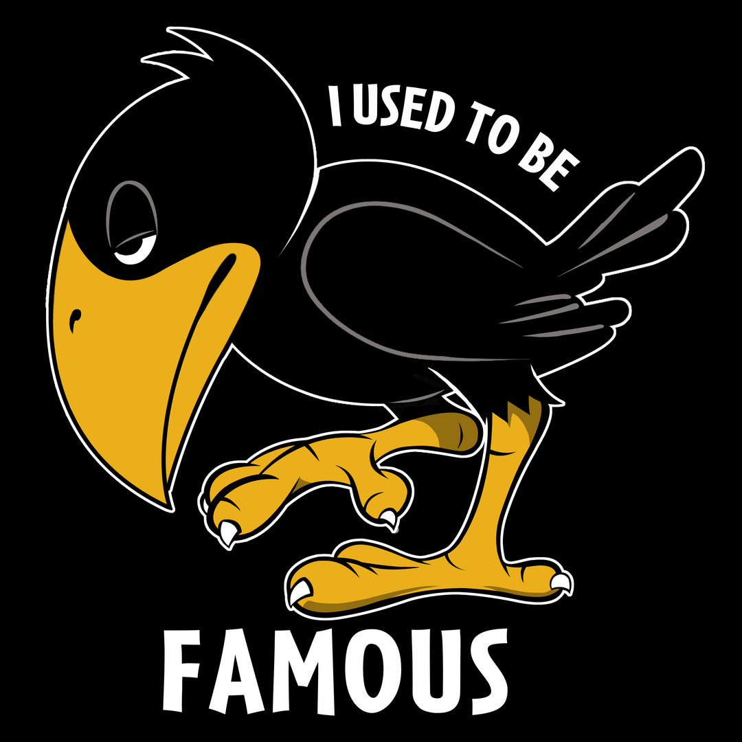 I USED TO BE FAMOUS - Fem