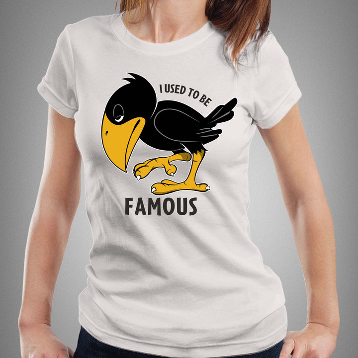 I USED TO BE FAMOUS - Fem