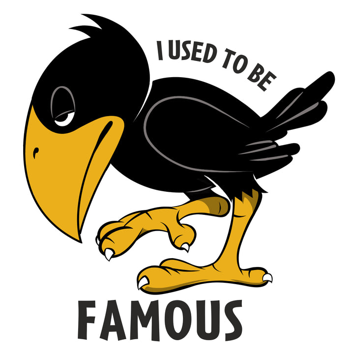 I USED TO BE FAMOUS - Fem